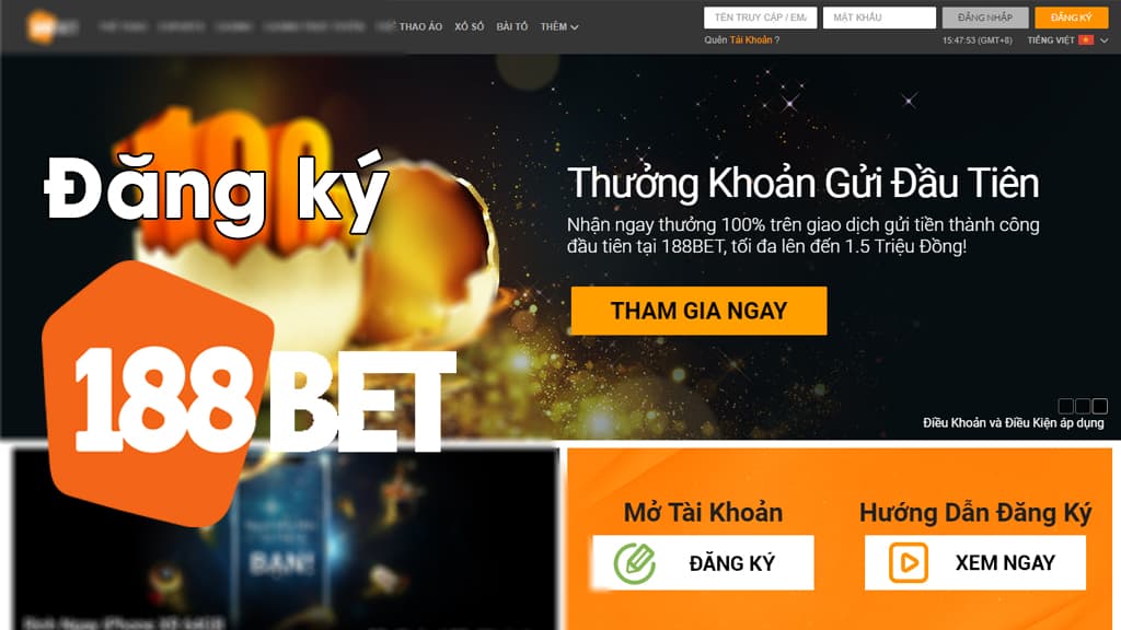 TOP 5 cái đá gà trực tuyến